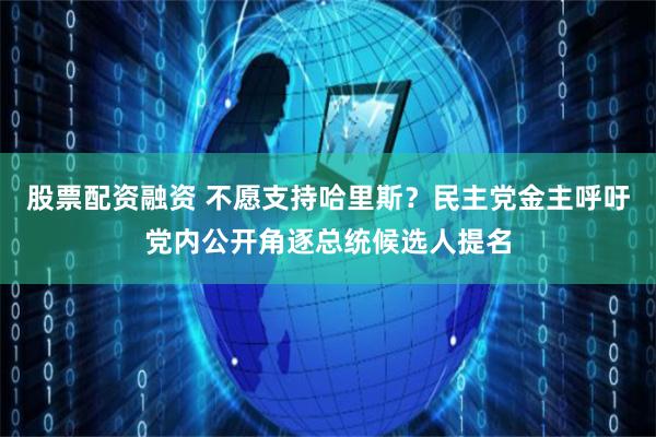 股票配资融资 不愿支持哈里斯？民主党金主呼吁党内公开角逐总统候选人提名